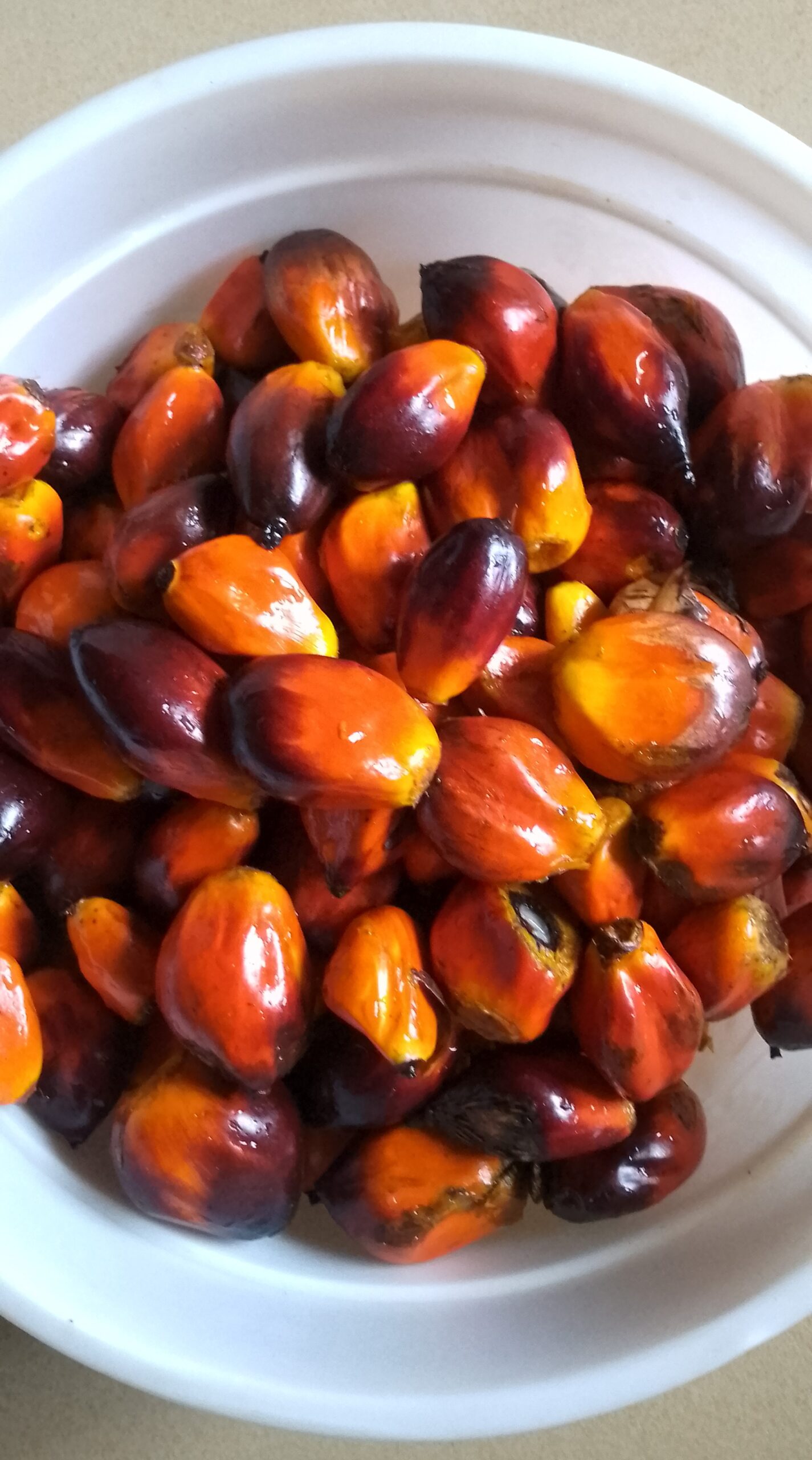 palm-fruits-in-a-bowl-for-the-cooking-of-ofe-akwu-or-banga-stew