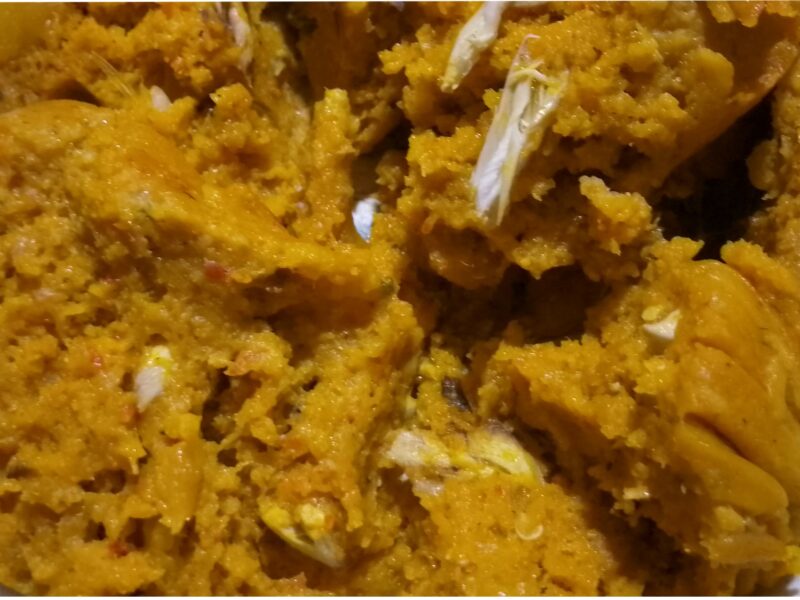 moimoi-featured-image
